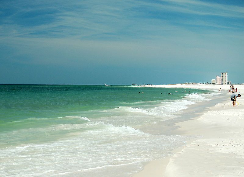Shells Shells Everywhere Seashells Gulfshores Orangebeach
