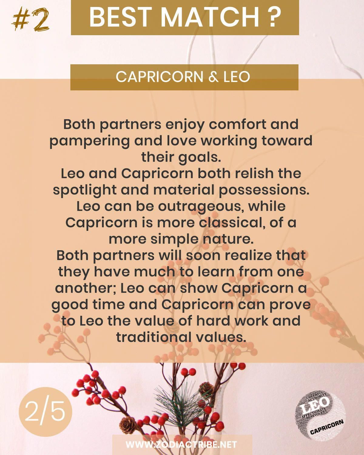 order now get it before christmas decided astrology leo compatibility chart