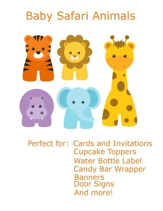 baby animal templates