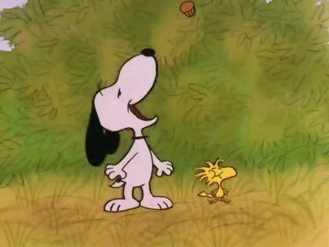 Peanuts Charlie Brown Chocolate Be My Valentine Charlie Brown Snoopy