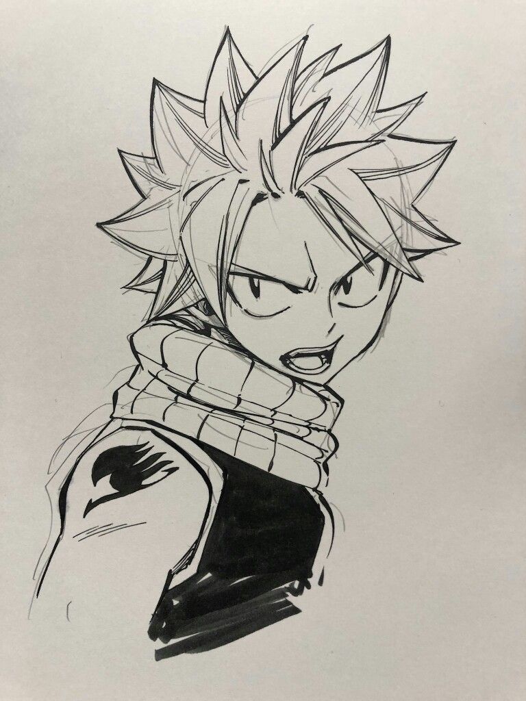 Natsu Dragneel Fairy Tail Manga Fairy Tail Art Fairy