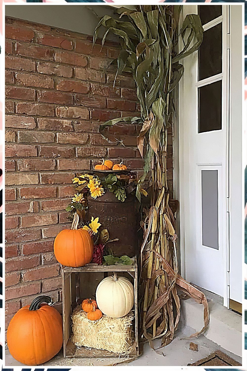 Fall And Winter Gardening Books - We'll save you hours of searching. Just click to visit and get what you need TODAY! Gardening Gifts For Mom, Gardening Books, Garden Gifts, Growing Winter Vegetables, Fall Vegetables, Hummingbird Garden Decor, Solar Flower Lights, Outdoor Decorative Lights, Planting Calendar