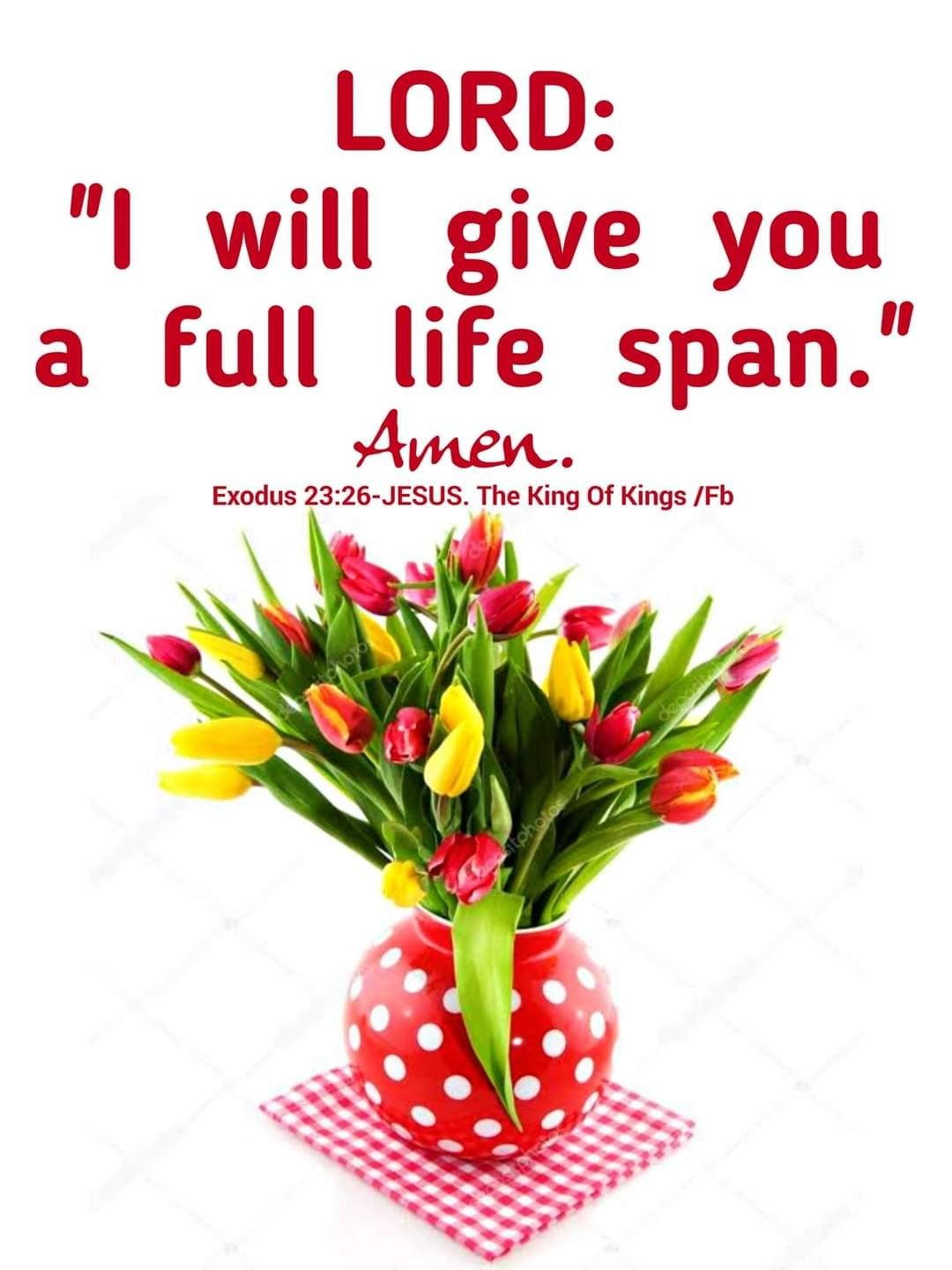 Pin On Bible Verses With Images In English Jesus The King Of Kings Facebook