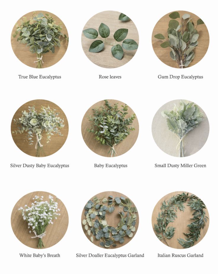 Greenery wedding Greenery wedding