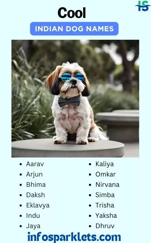 Best 12 300 Unique Indian Dog Names With Meanings Artofit Best 12 300 Unique Indian Dog Names With Meanings Artofit