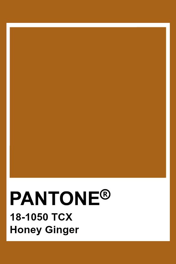 Pantone 18 1050 Tcx Honey Ginger Pantone Color Pantone Pantone Colour Palettes Pantone Palette Pantone 18 1050 Tcx Honey Ginger Pantone Color Pantone Pantone Colour Palettes Pantone Palette
