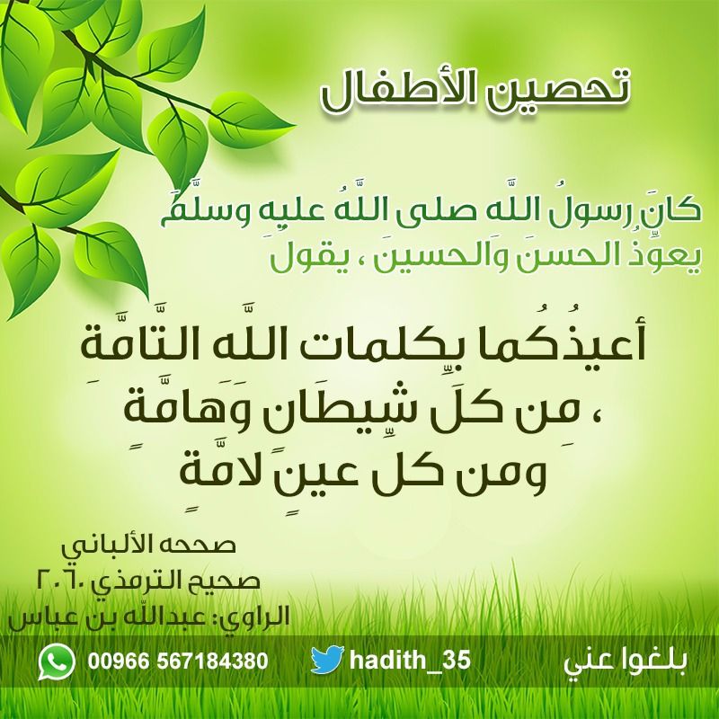 Pin By Nawar Bittar On دعاء Herbs Parsley