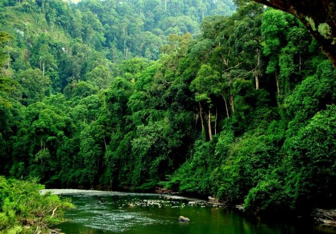 Hal-Hal yang akan terjadi di Indonesia sebelum 2045