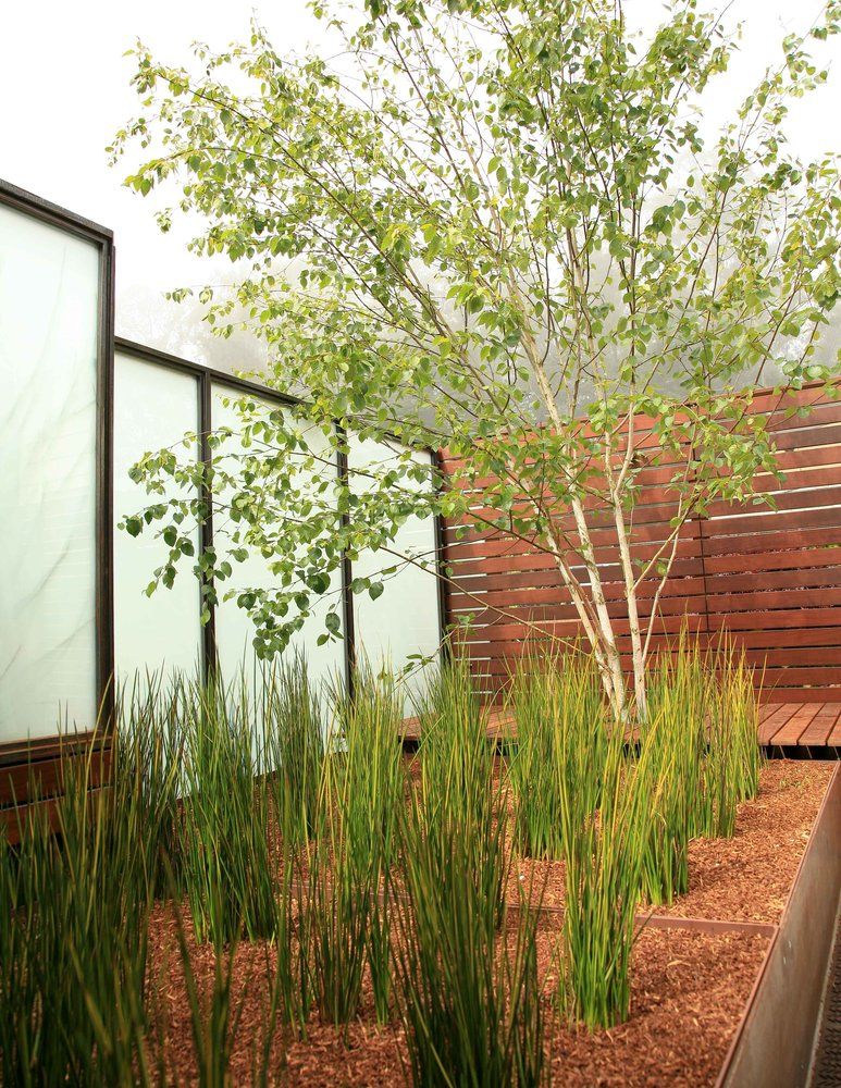 Steel Frosted Glass Screen With Horizontal Board Fence And - The Garden Route South San Francisco Steel Frosted Glass Screen With Horizontal Board Fence And - The Garden Route South San Francisco