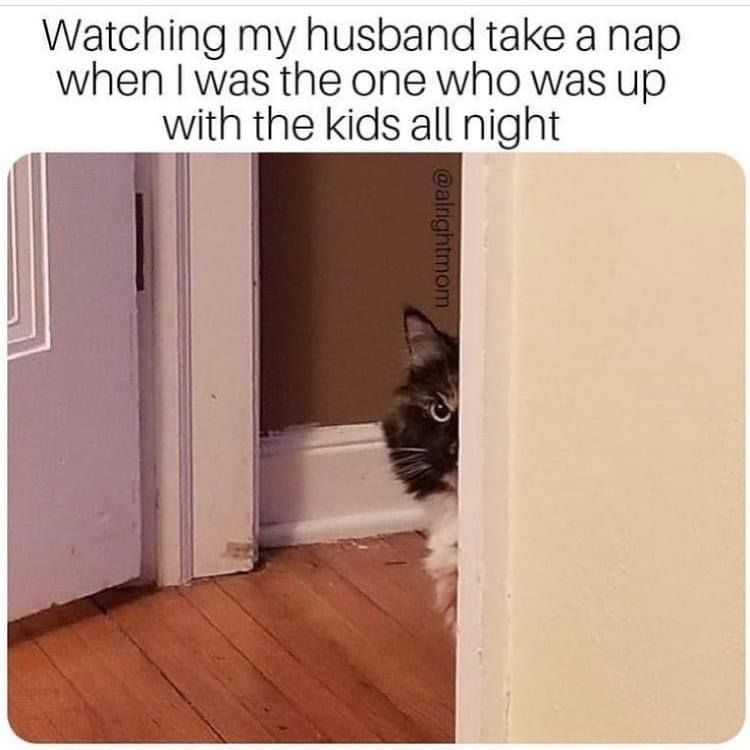Mamas Uncut's Most Popular Memes Of The Week: "maybe She's Losing It. Maybe It's Quarantine." | Mamas Uncut Most Popular Memes For May Do You Need A Good Laugh? We've Rounded Up The 35 Most Popular Memes Of The Week At Mamas Uncut. Parenting Motherhood Funny, Quotes About Motherhood, Motherhood Parenting, Mommy Humor, Child Humor, Baby Humor, Funny Parenting Memes, Funny Quotes, Funny Memes