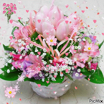 Google Image Bouquet De Fleurs Fleurs Pour Anniversaire Photo Bouquet De Fleurs Google Image Bouquet De Fleurs Fleurs Pour Anniversaire Photo Bouquet De Fleurs