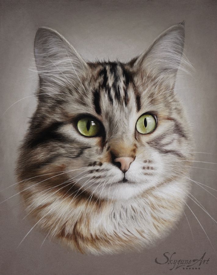 Galerie Artiste Animalier Skyzune Art Peinture Et Pastel En Dibujos De Gatos Pintura De Gato Pintura Perro Galerie Artiste Animalier Skyzune Art Peinture Et Pastel En Dibujos De Gatos Pintura De Gato Pintura Perro