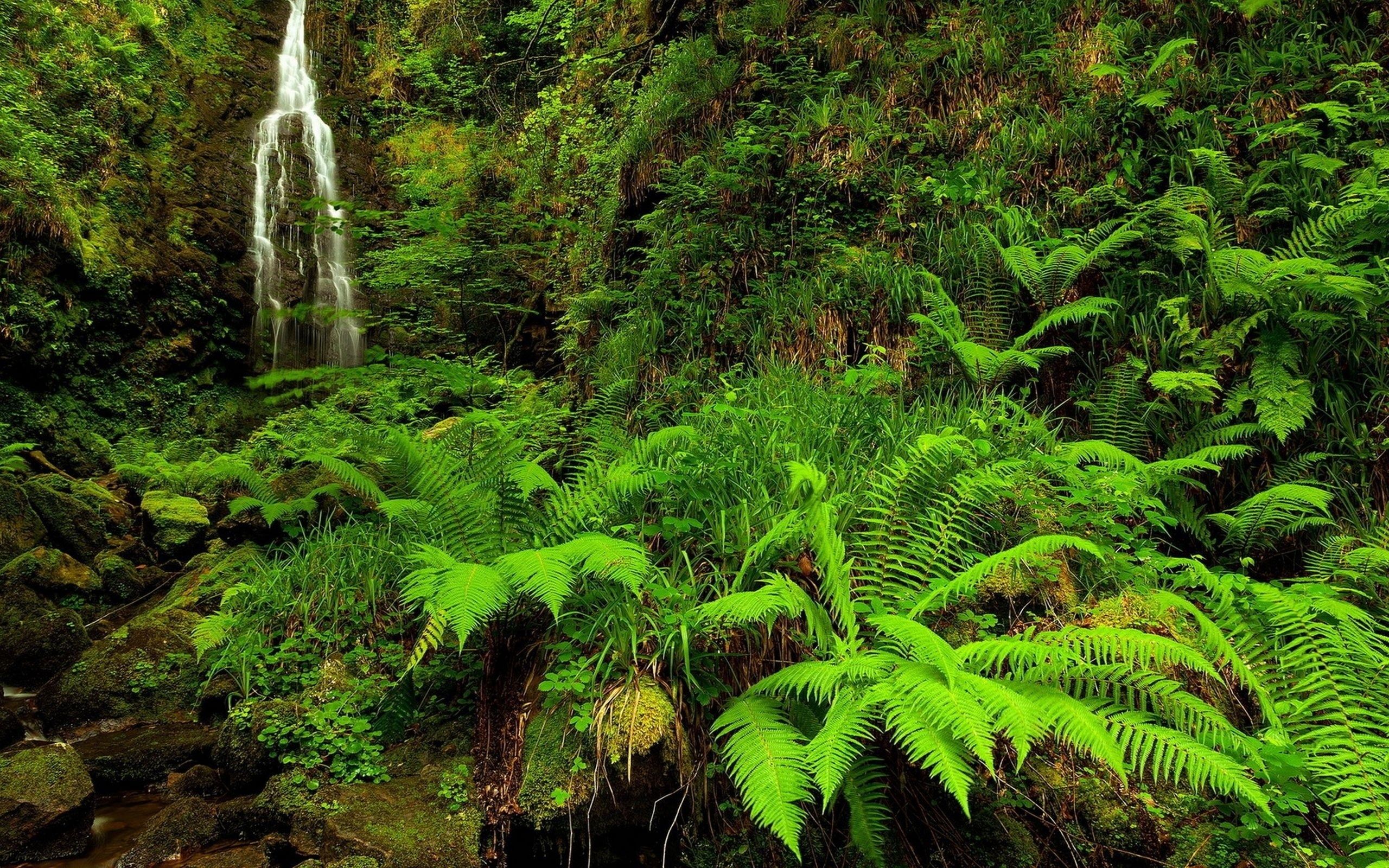 2400x1600 px waterfall wallpaper widescreen retina imac by wyshawn peacock wallpaperscreator pinterest hd backgrounds