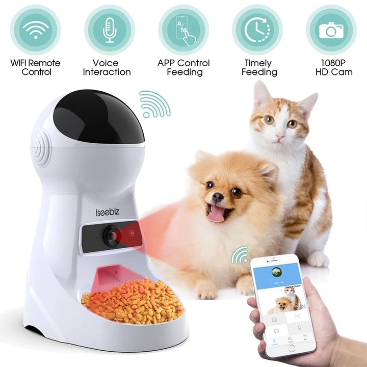 Youtube Cat Voice Cat Talk Cats