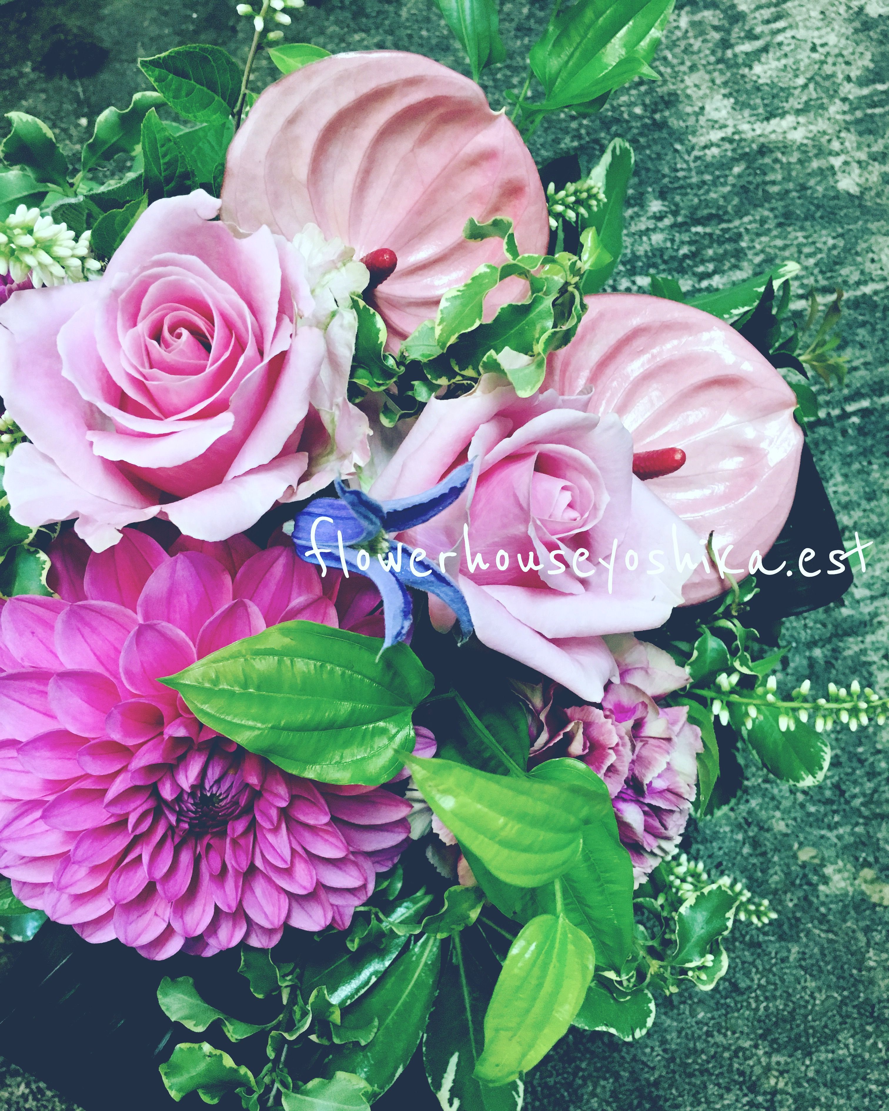 静岡 焼津 花屋 花 フラワーハウスよし香 Shizuoka Yaizu Flowerhouseyoshikaest Flowers Flowerstagram アレンジメントフラワー 花 フラワー 焼津 静岡 焼津 花屋 花 フラワーハウスよし香 Shizuoka Yaizu Flowerhouseyoshikaest Flowers Flowerstagram アレンジメントフラワー 花 フラワー 焼津