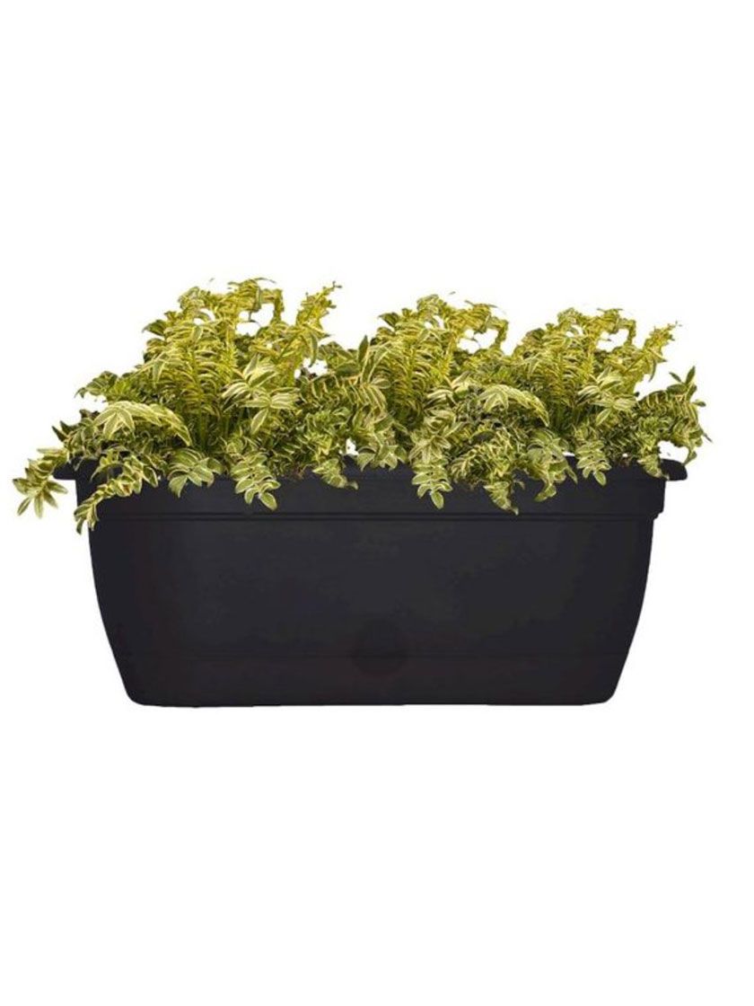 bloem lucca self watering window box 18 8221 window planter boxes planters self watering planter bloem rail planter on bloem lucca self watering window box 18 8221 window planter boxes planters self watering planter pinterest