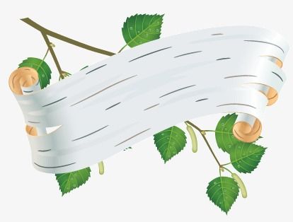 Green Leaf Background, Old Paper Background, Green Leaves, Plant Leaves, Page And Plant, Birch Leaf, Good Morning Flowers, Afro Art, Flower Frame