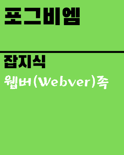[잡지식] 웹버(Webver)족