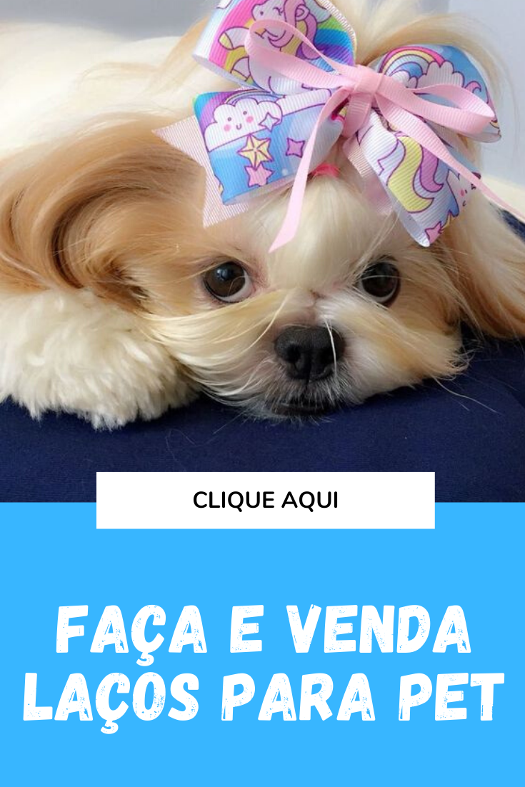 Pin em Como Fazer Laços Para Pet Pin em Tudo para o Pet