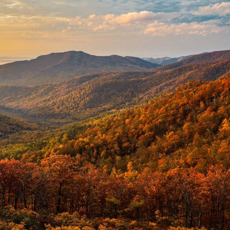 How long is the Appalachian Trail? Here's how long it takes to hike the entire path. — USA TODAY
