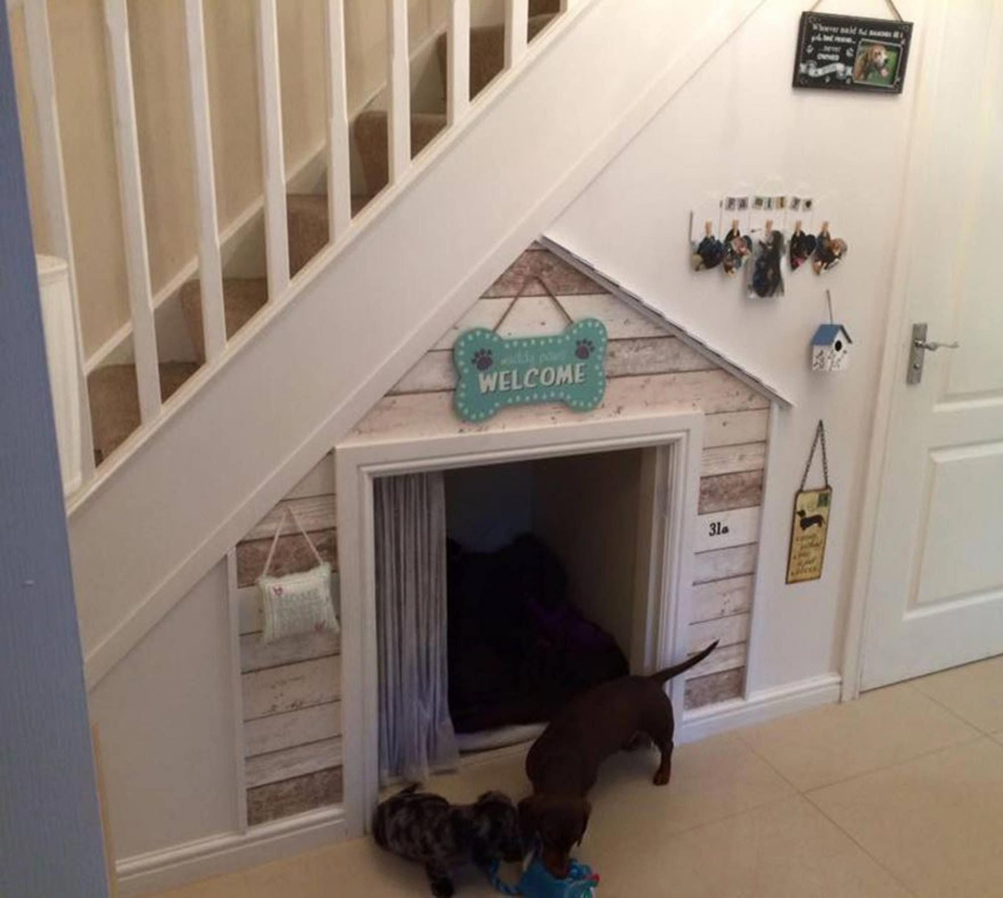 Dog Areas In House Under Stairs Dogareasinhouseunderstairs Indoor Bedroom Dog Areas In House Under Stairs