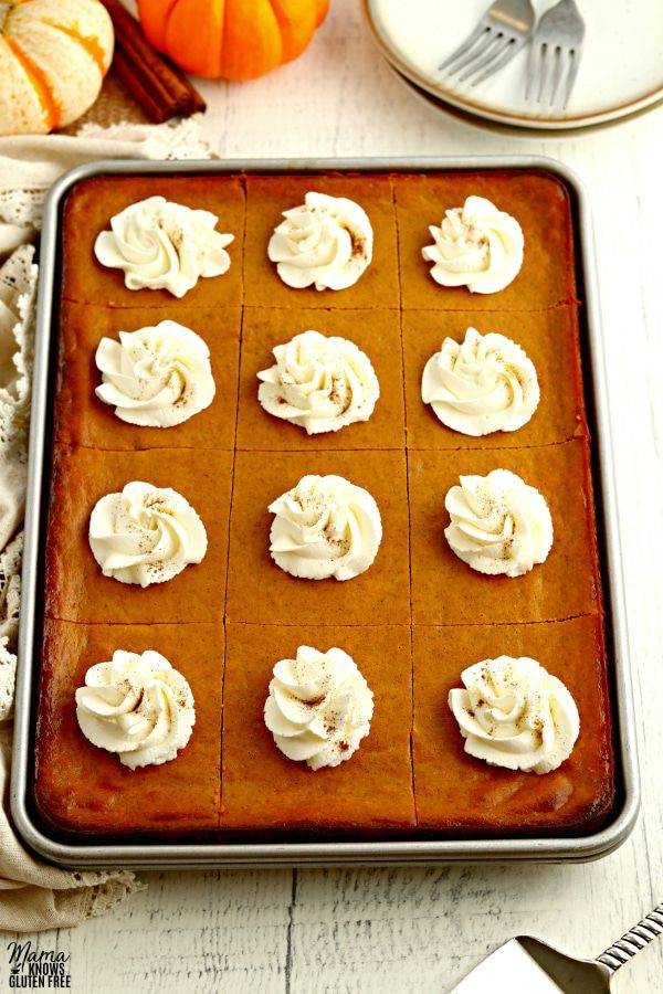 Gluten-Free Pumpkin Pie Bars {Dairy-Free Option} - Mama Knows Gluten Free Gluten Free Graham Crackers, Graham Cracker Crust, Gluten Free Pumpkin Pie Bars, Holiday Desert, Paleo Keto Recipes, Dairy Free Options, Easy Gluten Free, Receipes, Deserts