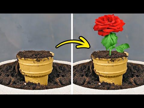 Plantar, Easy Garden, Clever Hacks, Healthy Plants, Flourish, Gardening Tips, Planter Pots, Growing