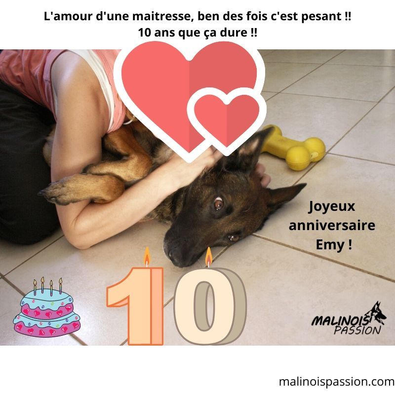 Joyeux Anniversaire Emy Joyeuse Anniversaire Anniversaire Joyeux Joyeux Anniversaire Emy Joyeuse Anniversaire Anniversaire Joyeux