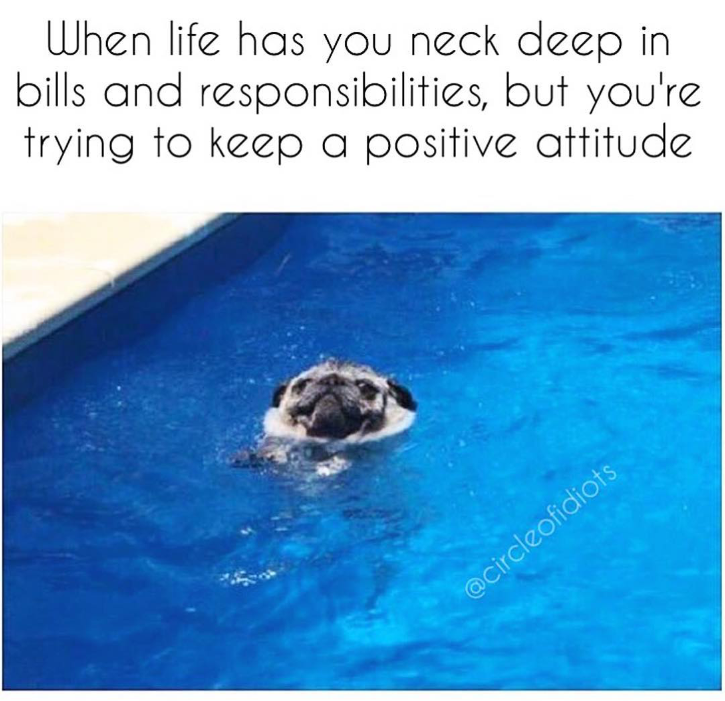 When Life Has You Neck Deep In Bill Positive Attitude When Life Has You Neck Deep In Bill Positive Attitude