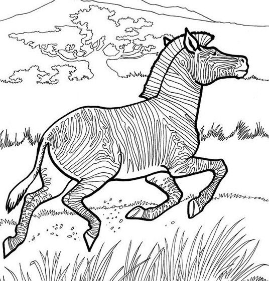 Download Pin by Wanda Twellman on Coloring Horses (With images ...