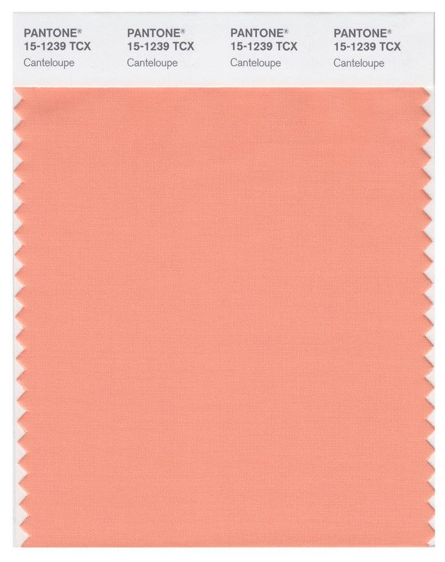 Kona Cotton-/"Salmon/"-By The Yard-R Kaufman-Solid Color