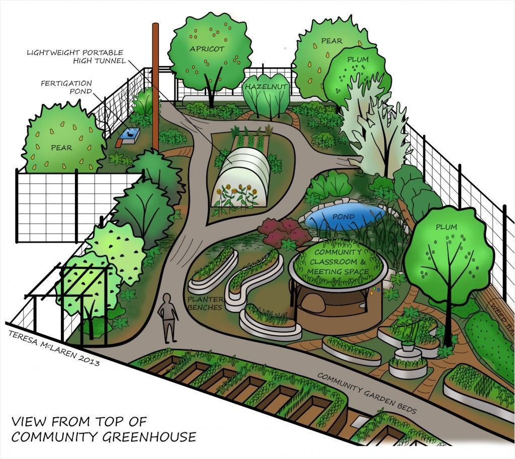 designing a food forest Google Search in 2020 Permaculture gardening