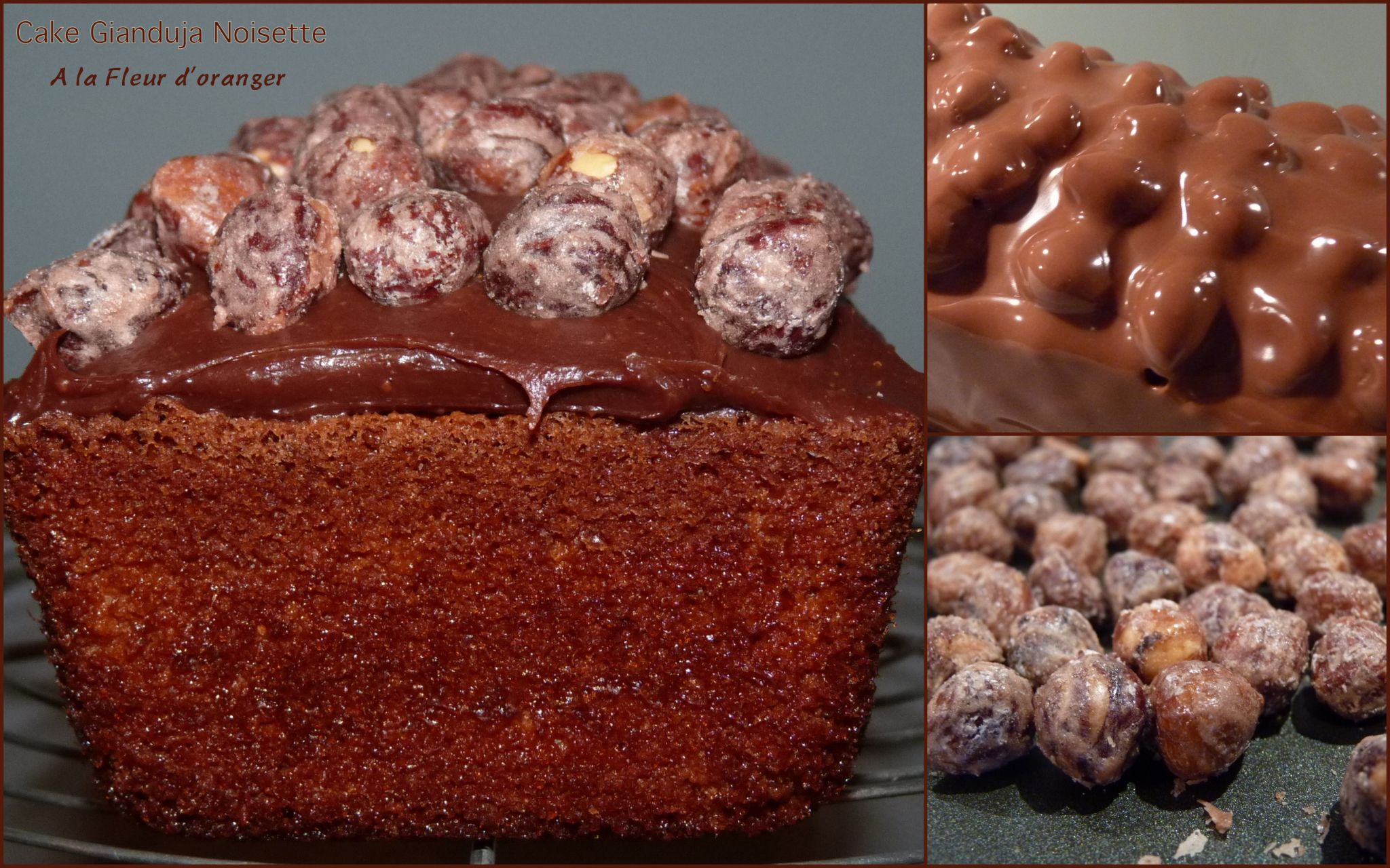 Cake Gianduja Noisette A La Fleur D Oranger By Michalak Les Delices De Capu Recette Christophe Michalak Recette Entremet Michalak Cake Gianduja Noisette A La Fleur D Oranger By Michalak Les Delices De Capu Recette Christophe Michalak Recette Entremet Michalak