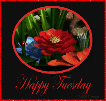Happy Tuesday tuesday tuesday quotes tuesday images Happy Tuesday tuesday tuesday quotes tuesday images