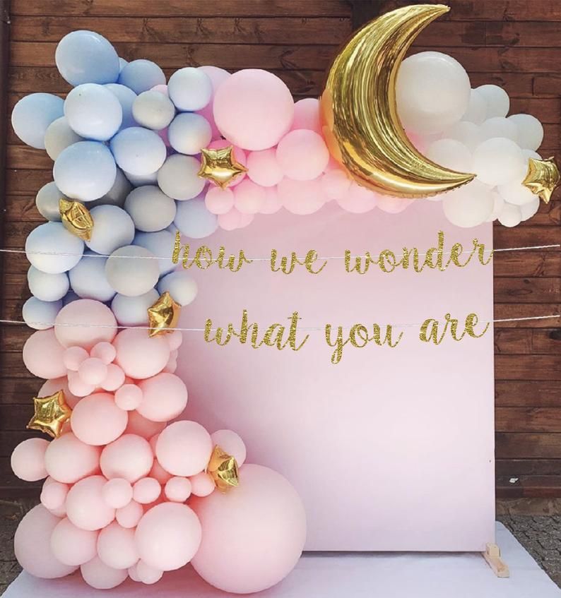 How we wonder what you are banner gender reveal banner | Etsy Simple Gender Reveal, Gender Reveal Banner, Gender Reveal Party Games, Pregnancy Gender Reveal, Gender Reveal Themes, Gender Reveal Balloons, Gender Reveal Party Decorations, Baby Shower Gender Reveal, Reveal Parties