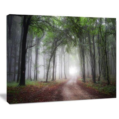 DesignArt 'Light Through Green Fall Forest' Photographic Print on Wrapped Canvas Size: Contemporary Metal Wall Art, Large Metal Wall Art, Metal Artwork, Buy Canvas Art, Canvas Art Prints, Canvas Size, Photography Wall Art, Landscape Photography, Forest Photos