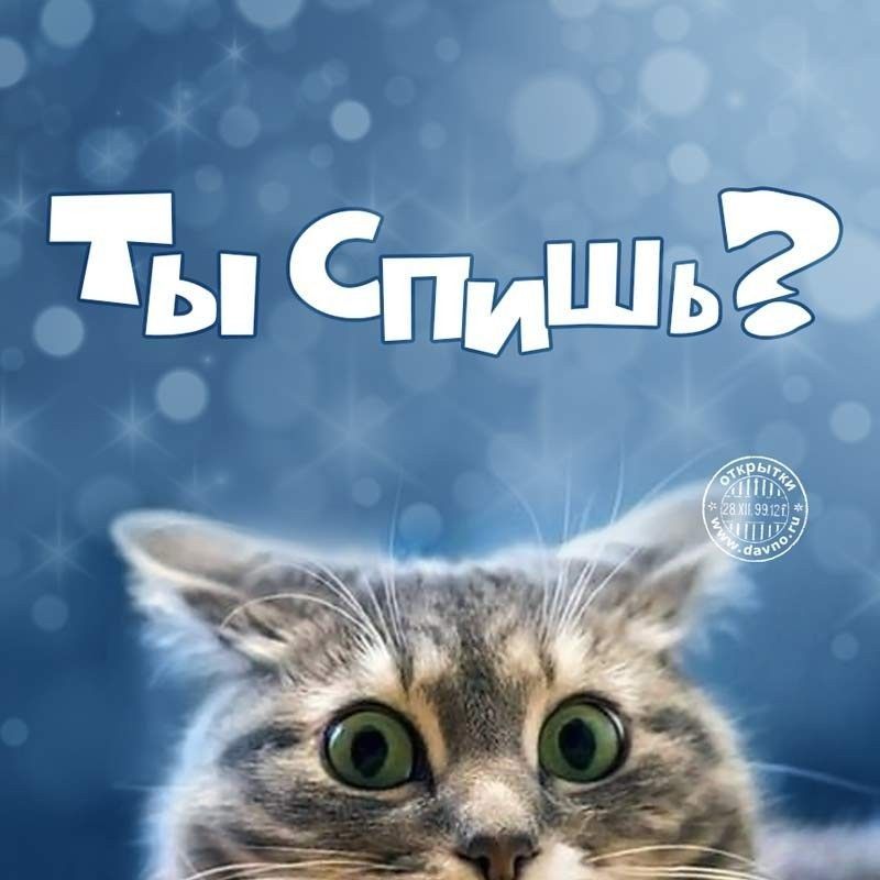 Поздравления, что не спишь картинки