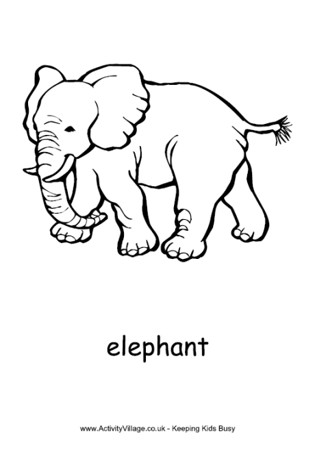 Pin on Elephant stuff Pin on Elephant stuff