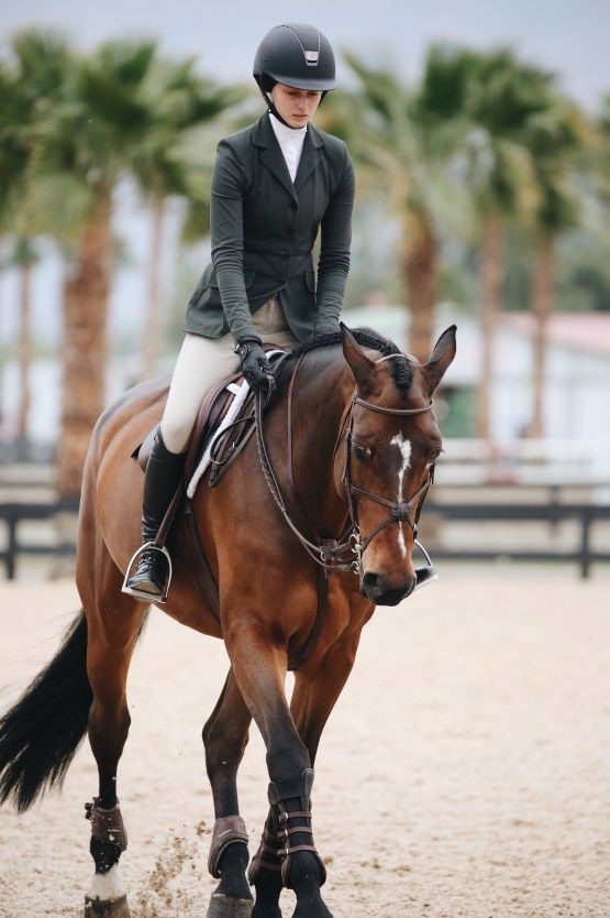 Back to Basics - Horseback Riding Skills Every Rider Should Know