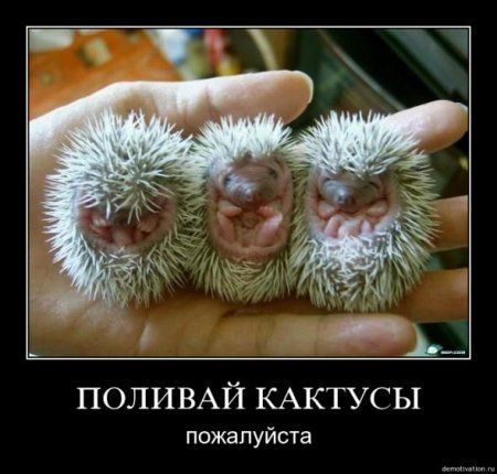 Прикольные Ржачные До Слез Фото Прикольные Ржачные До Слез Фото