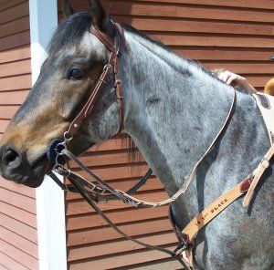 German Martingales The Tack Stop In 21 Stitching Leather Neck Strap Martingale German Martingales The Tack Stop In 21 Stitching Leather Neck Strap Martingale