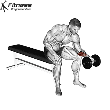 Dumbbell Wrist Curl