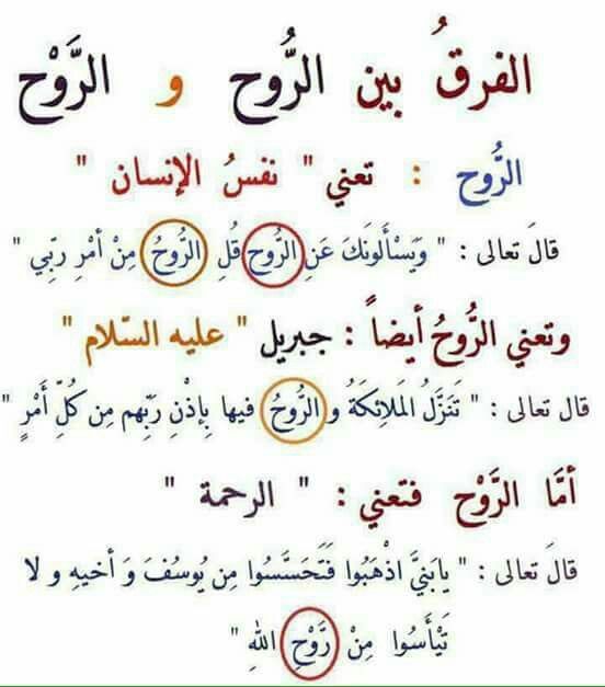 Pin On Tfser El Qor2n