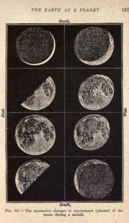 Abb. 83. Die Mondphasen. Laborunterricht in der allgemeinen Wissenschaft.1917. #astrologyaesthetic