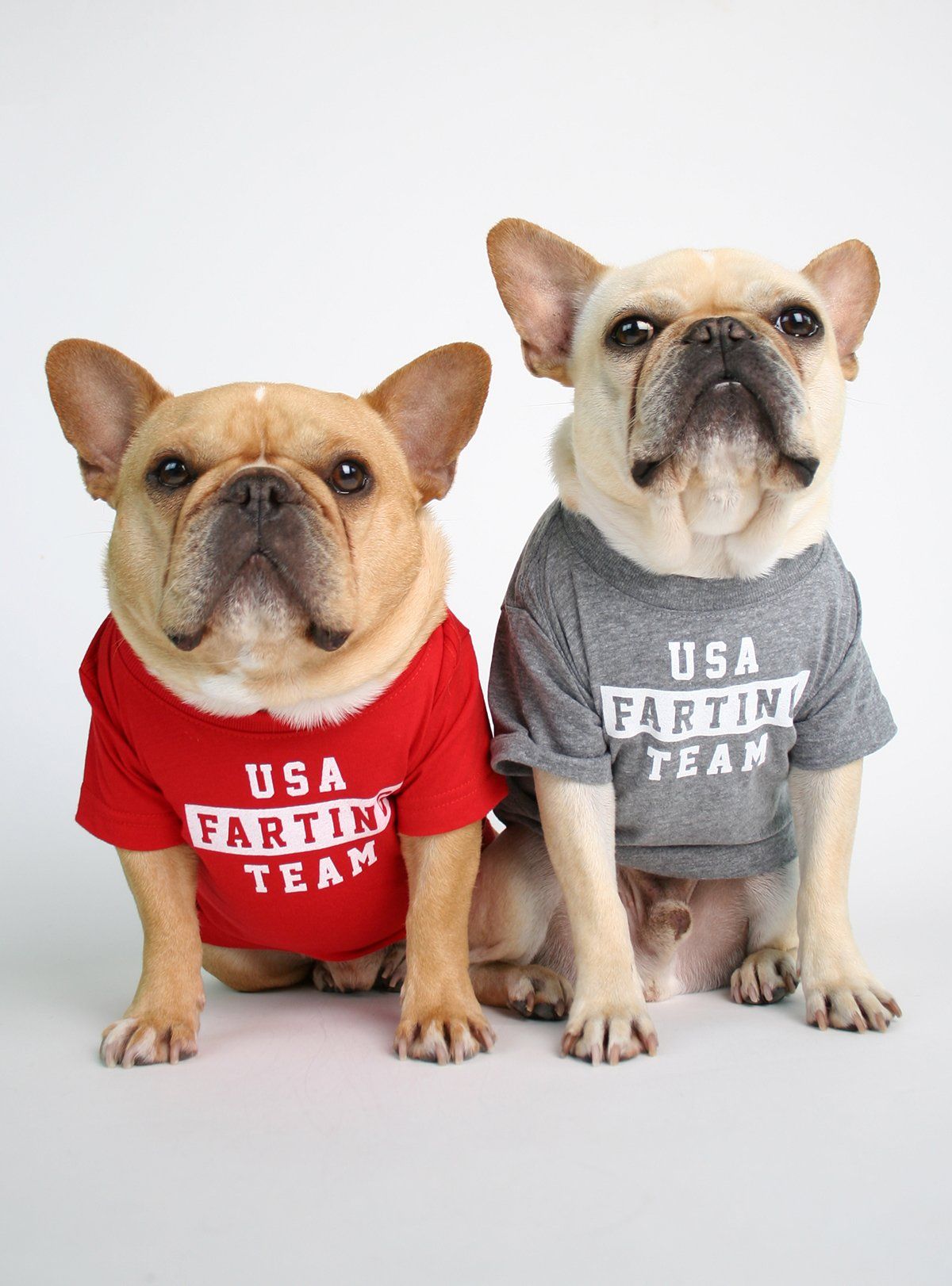 Usa Farting Team Dog Tee French Bulldog Dog Dogs Tee Dog Shirt