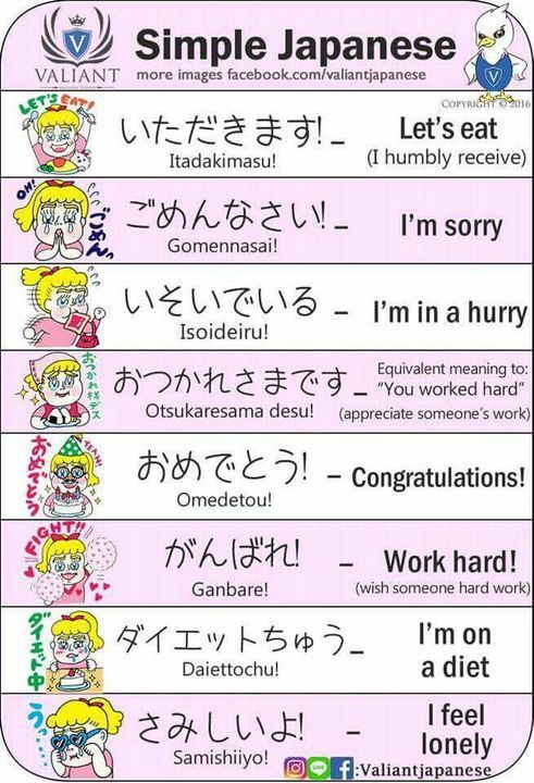Basic Japanese Words, Japanese Phrases, Study Japanese, Japanese Kanji, Japanese Culture, Learning Japanese, Japanese Grammar, Learning Italian, Japanese Language Proficiency Test