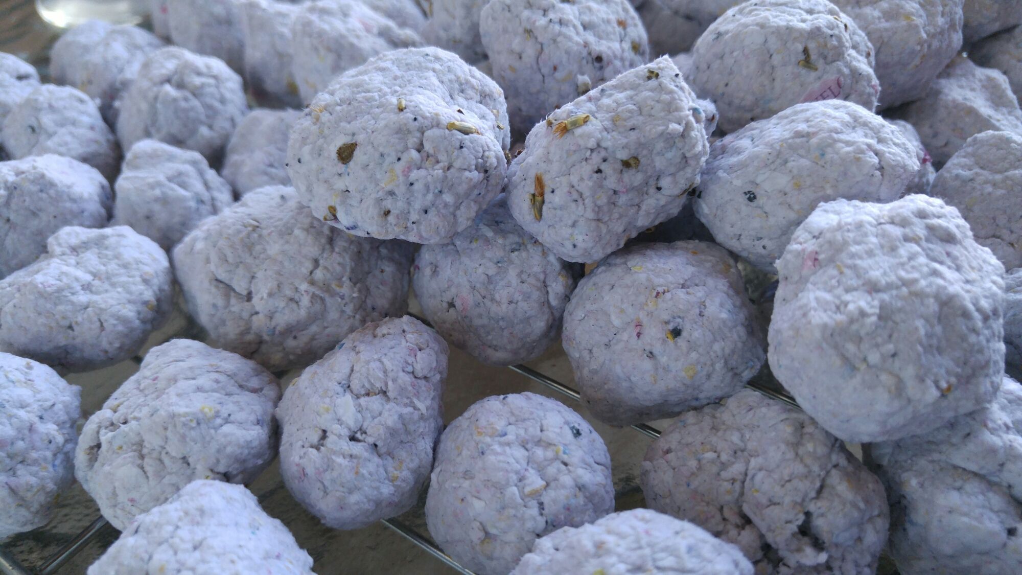earth day seed bombs diy