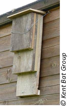 Kent Bat Box Bats Do Not Like Draughts And Prefer Well Insulated Kent Bat Box Bats Do Not Like Draughts And Prefer Well Insulated Bo Where Temperature Humidity Remain Constant They Also Need A Rough Textured