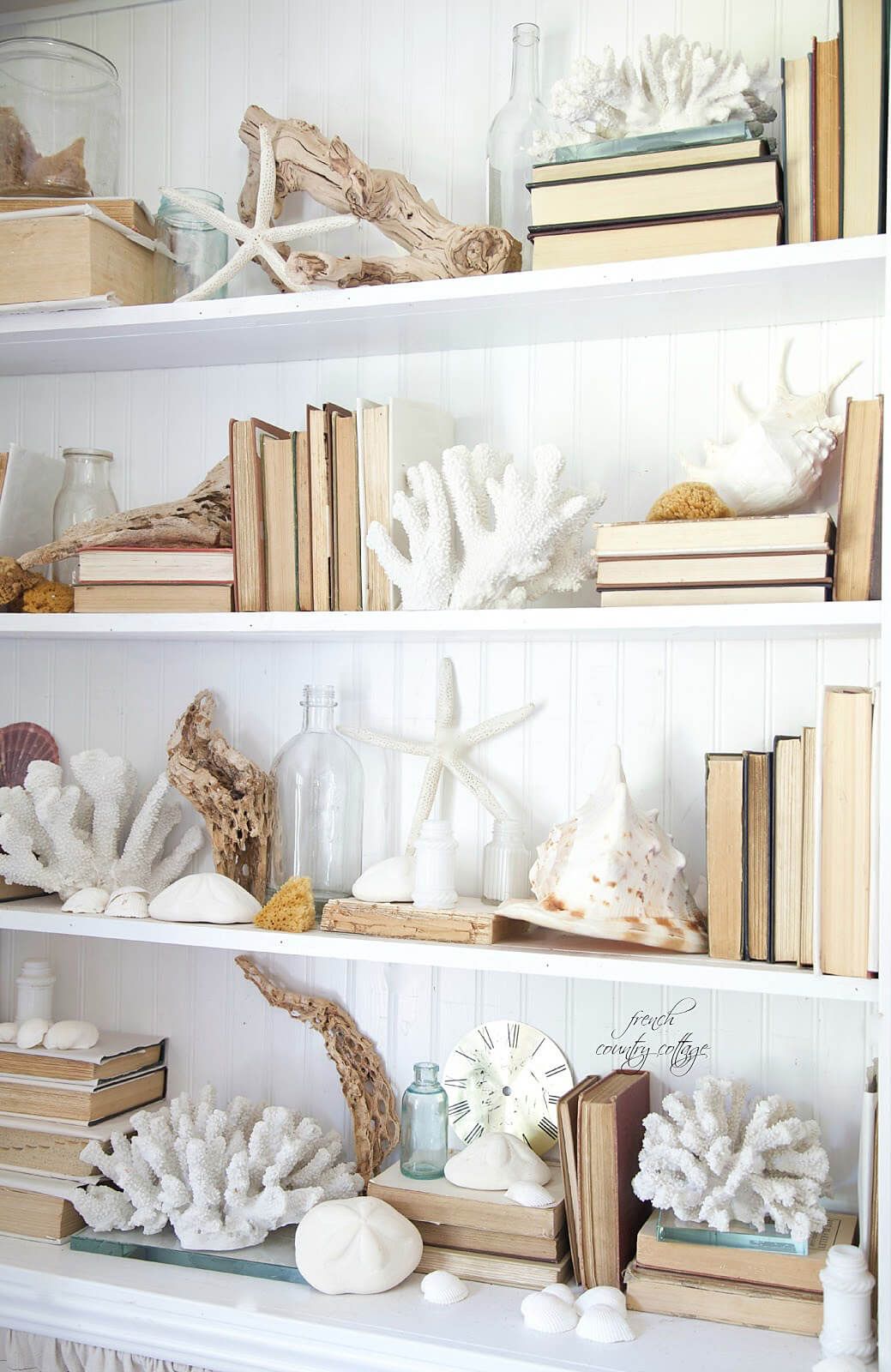 A Bookcase Crawling With C And Shells Decorating New House Bookcase Crawling With C And Shells