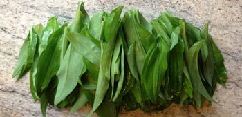 Bärlauch Verwendung Rezepte Bärlauch Verwendung Rezepte